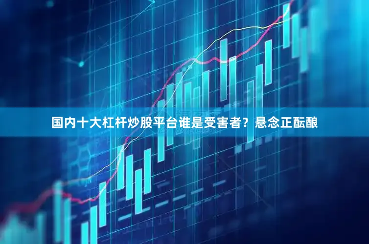 国内十大杠杆炒股平台谁是受害者？悬念正酝酿