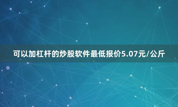 可以加杠杆的炒股软件最低报价5.07元/公斤
